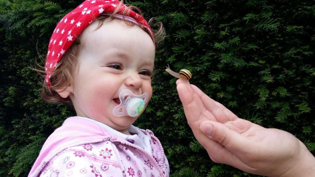 baby using a Pacifier